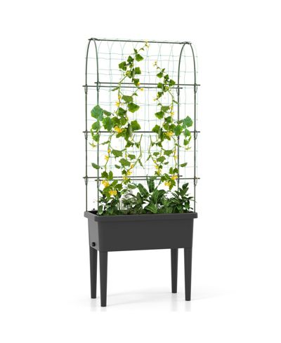 Self-watering Raised Garden Bed Elevated Planter with Climbing Trellis-Black
