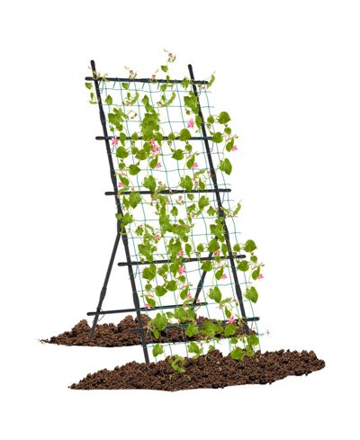 Tall Garden Trellis for Climbing Plants, Flowers, Vines, Vegetables, and Peas