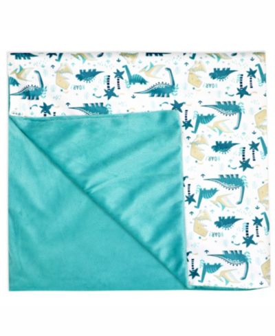 Tendertyme Baby Boys and Baby Girls 2 Layer Minky Blanket