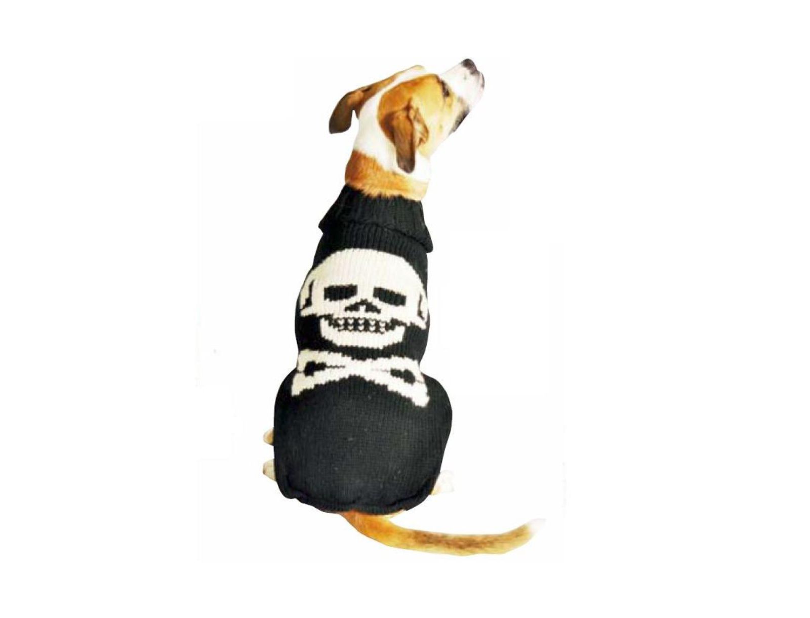 Свитер для собак Chilly Dog Skull Dog