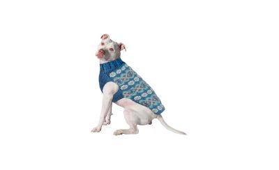 Chilly Dog M Teal Alpaca Fairisle Dog Sweater