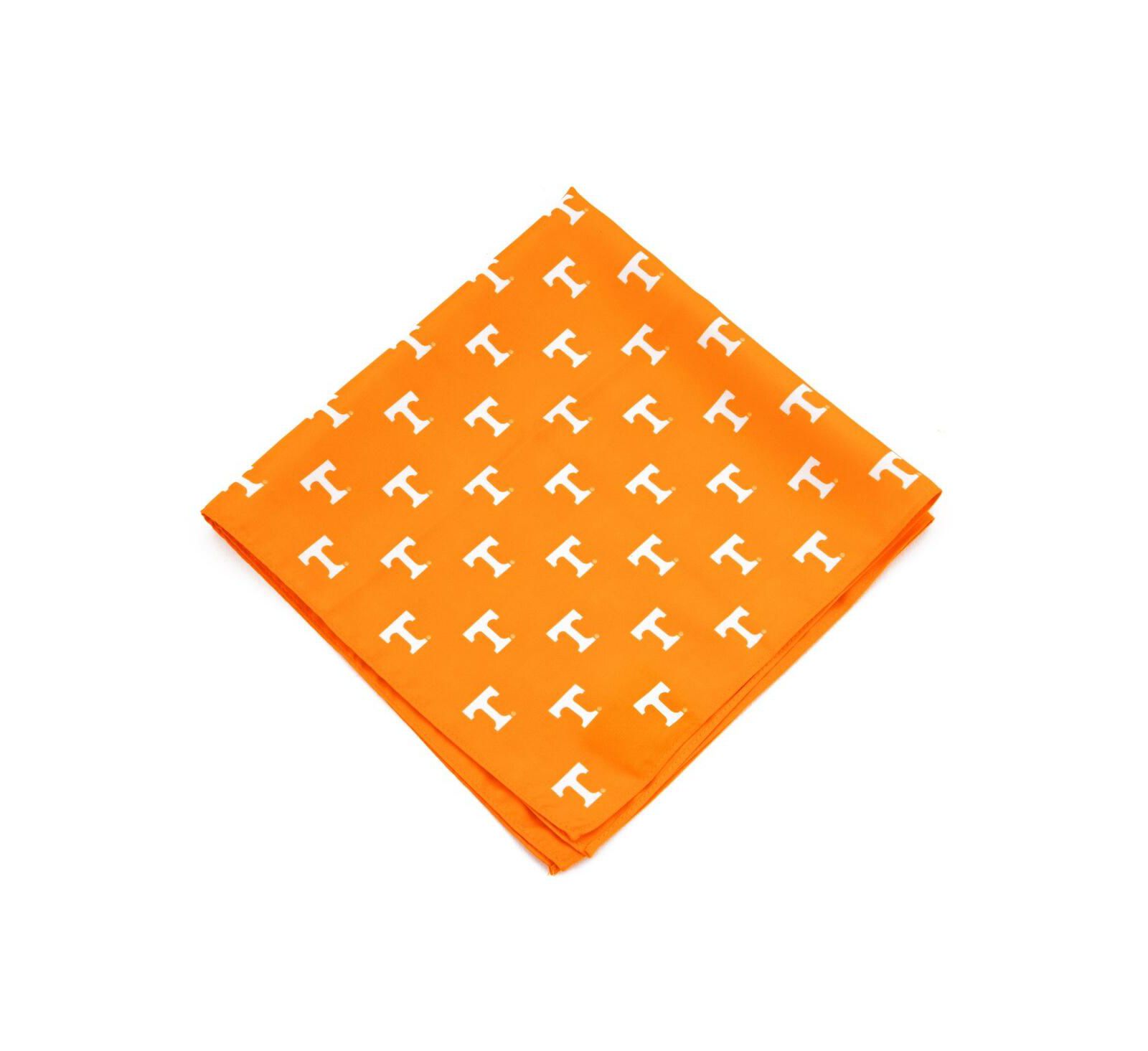 Eagles Wings Tennessee Volunteers Kerchief Pocket Square