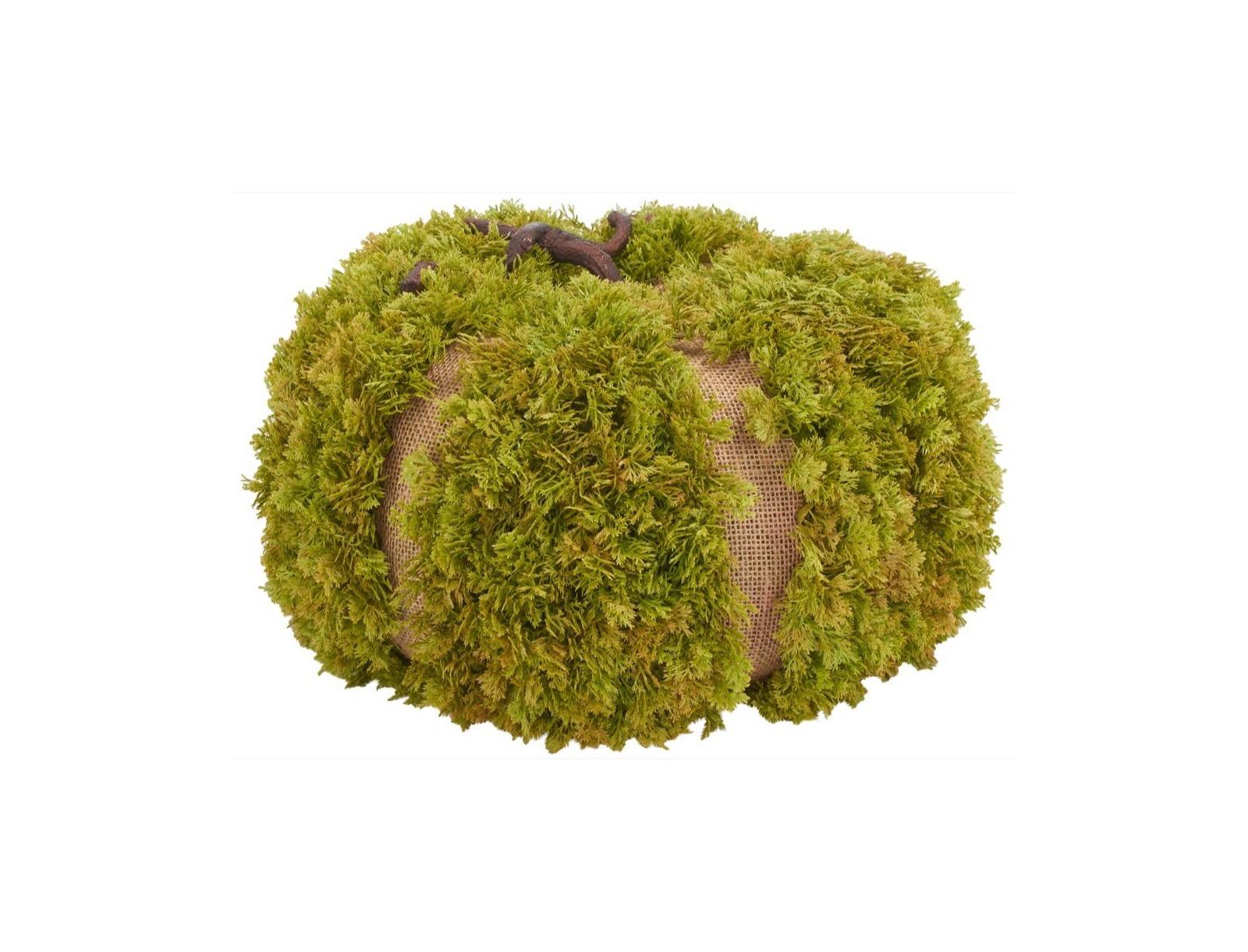 Safavieh Faux 15 Inch Moss Pumpkin