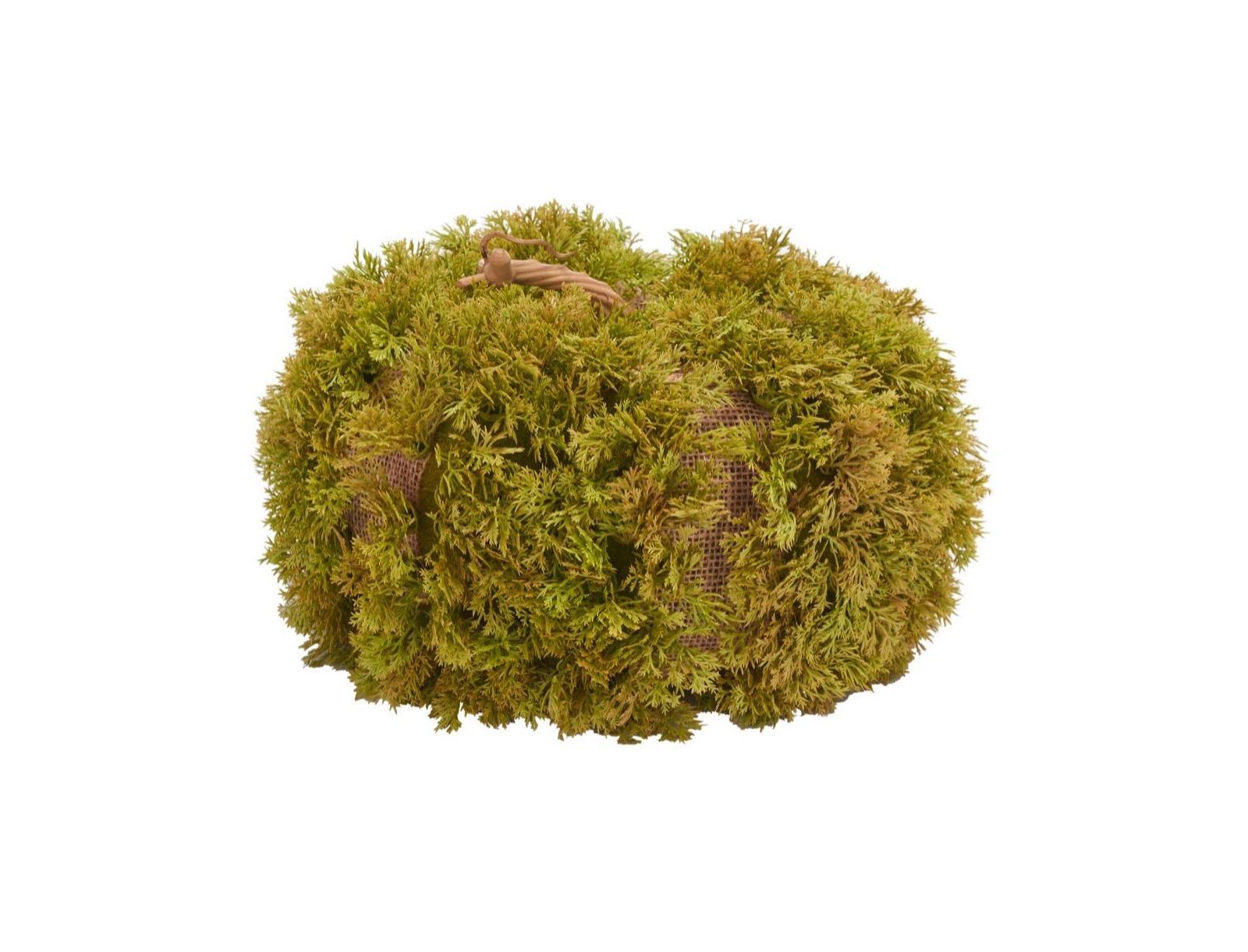 Safavieh Faux 10 Inch Moss Pumpkin