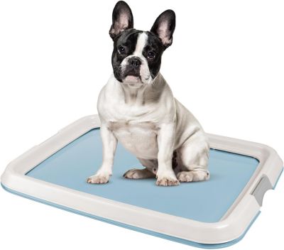 IRIS USA Pee Pad Holder, Fits 17"x24" or Larger, Medium, Puppy Dog Pad Hoder, Non-Skid Rubber Feet, High Polish Finish for Easy Cleaning