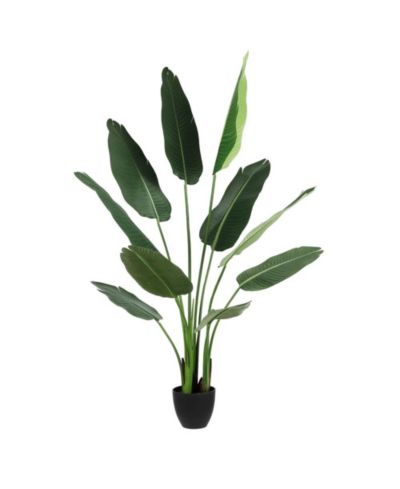 Искусственные листья Safavieh Faux Banana 63" Potted Leaves