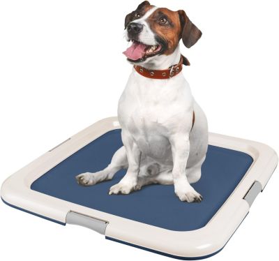 IRIS Pee Pad Holder, Fits 23"x23" or Larger, Square, Puppy Dog Pad Hoder, Secured Latches, Non-Skid Rubber Feet, High Polish Finish for Easy