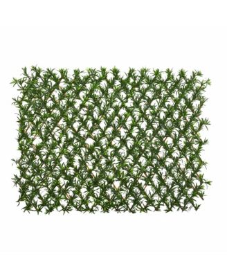 Slickblue Podocarpus Expandable Fence UV Resistant & Waterproof
