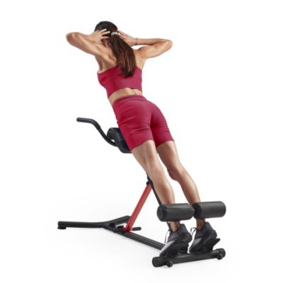 Sunny Health & Fitness Sunny Strength Hyperextension Roman Chair with Dip Station