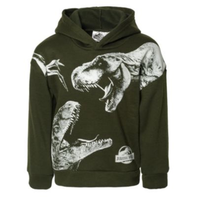 Jurassic Park Boys' Fleece Hoodie