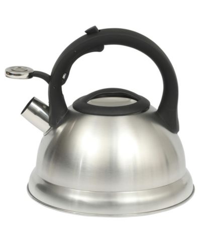 Свистящий чайник из нержавеющей стали Mr. Coffee Hartbay, 2.4 Quart