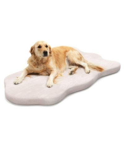 SUGIFT Dog Bed with Memory Foam for Small to Medium Dogs