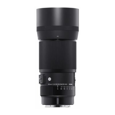 Sigma 105mm f/2.8 DG DN Macro Art Lens for Sony E