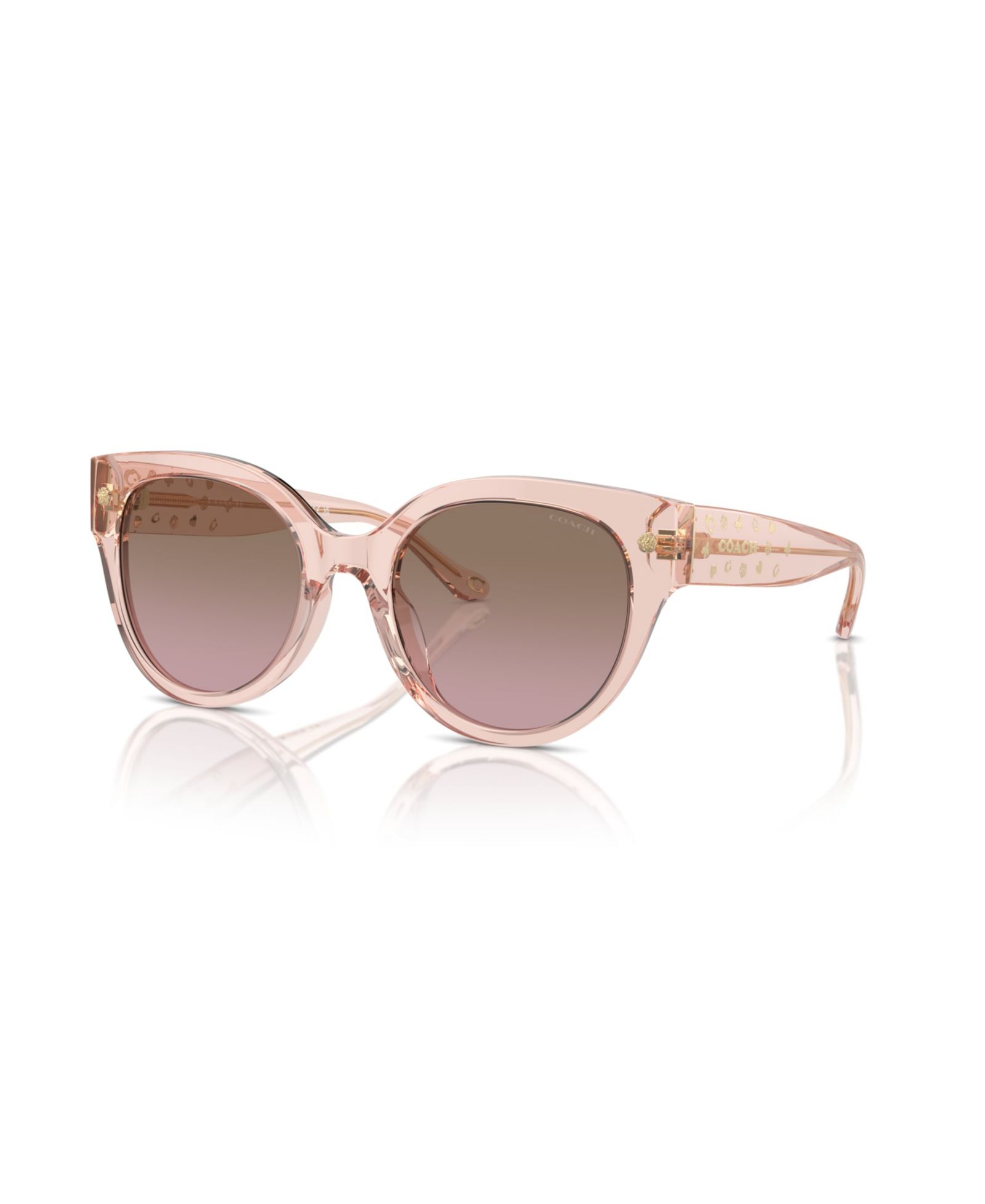 Coach Women's Round Sunglasses, CR612 HC8393U