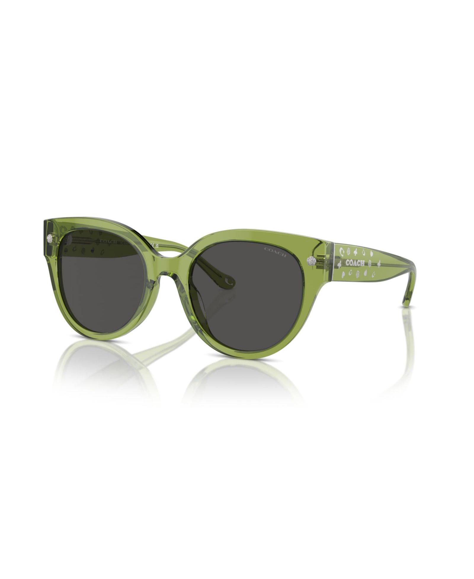Coach Women's Round Sunglasses, CR612 HC8393U