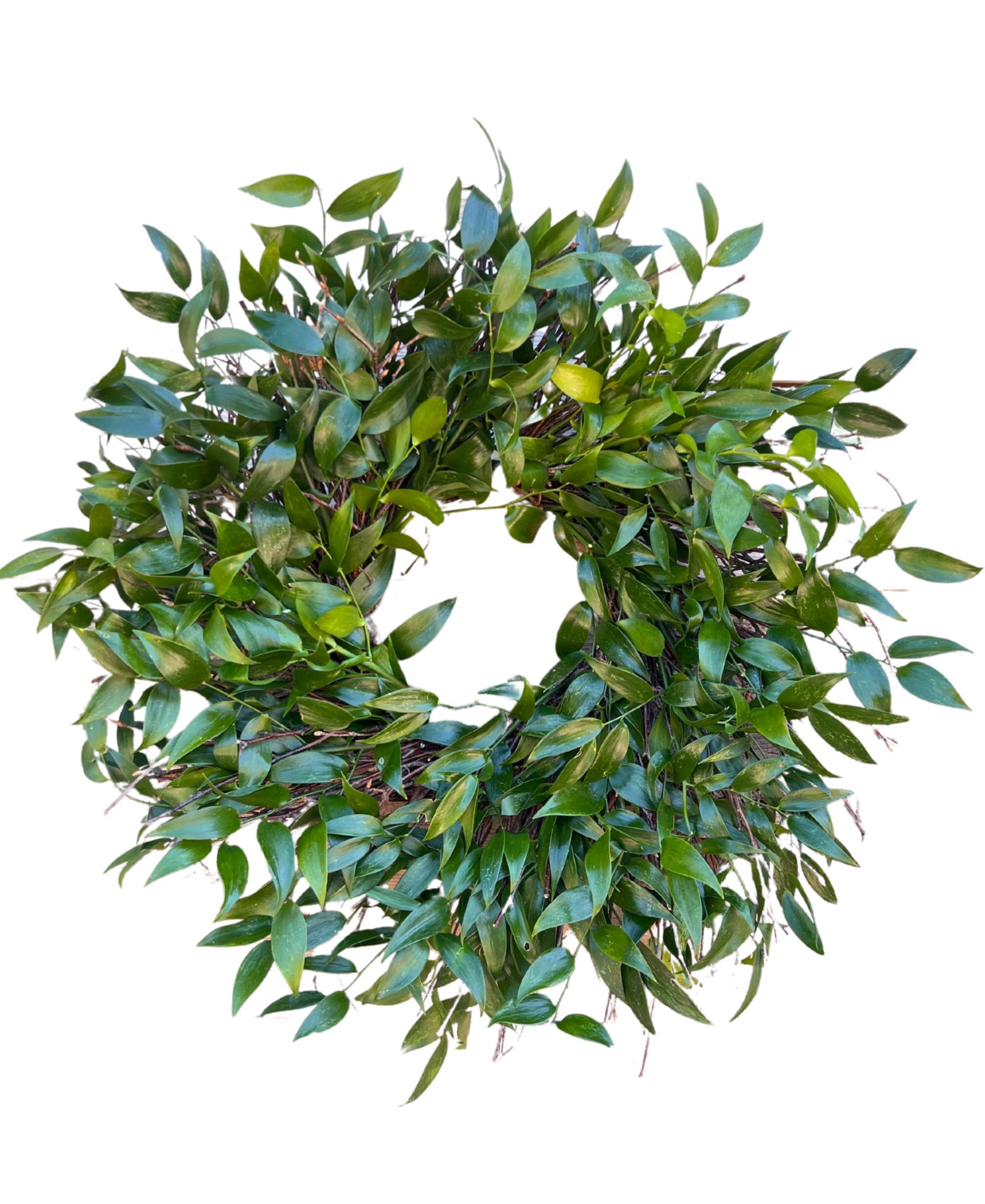 GreenishBlu венок из натурального итальянского рускуса, 22"