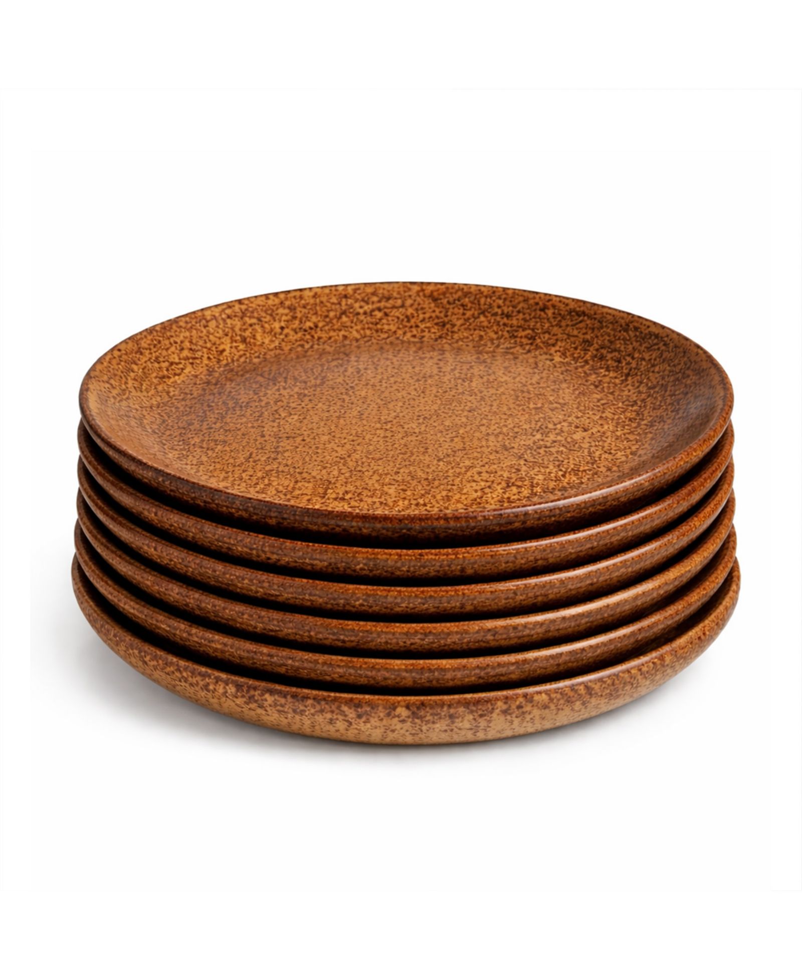 PORTO BRASIL Stoneware Dinner Plates, Set of 6
