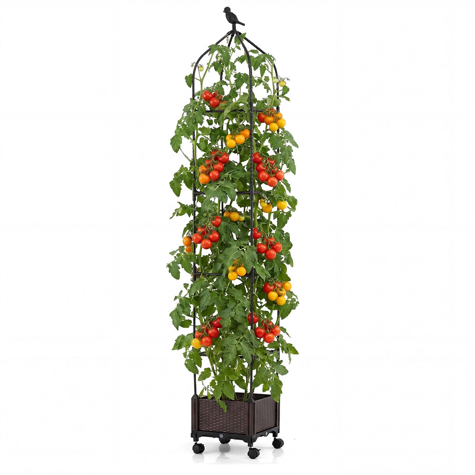 Raised Garden Bed Tomato Cage Planter Box with PE-Coated Metal