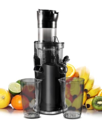 Elite Cuisine соковыжималка медленного отжима 27 oz EJX751