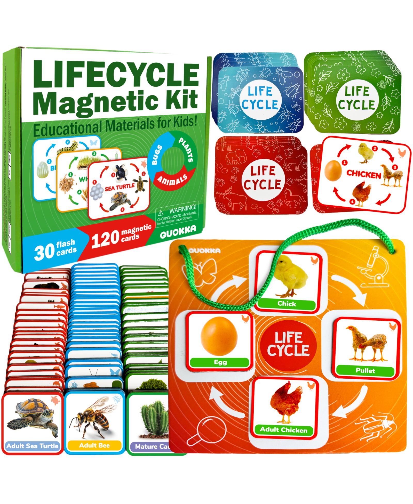Quokka Lifecycle Magnetic Kit Life Cycle Science Kit, Ages 3+