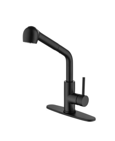 Single-Handle Pull-Out Sprayer Kitchen Faucet in Stainless Steel Modern Design for Easy Use