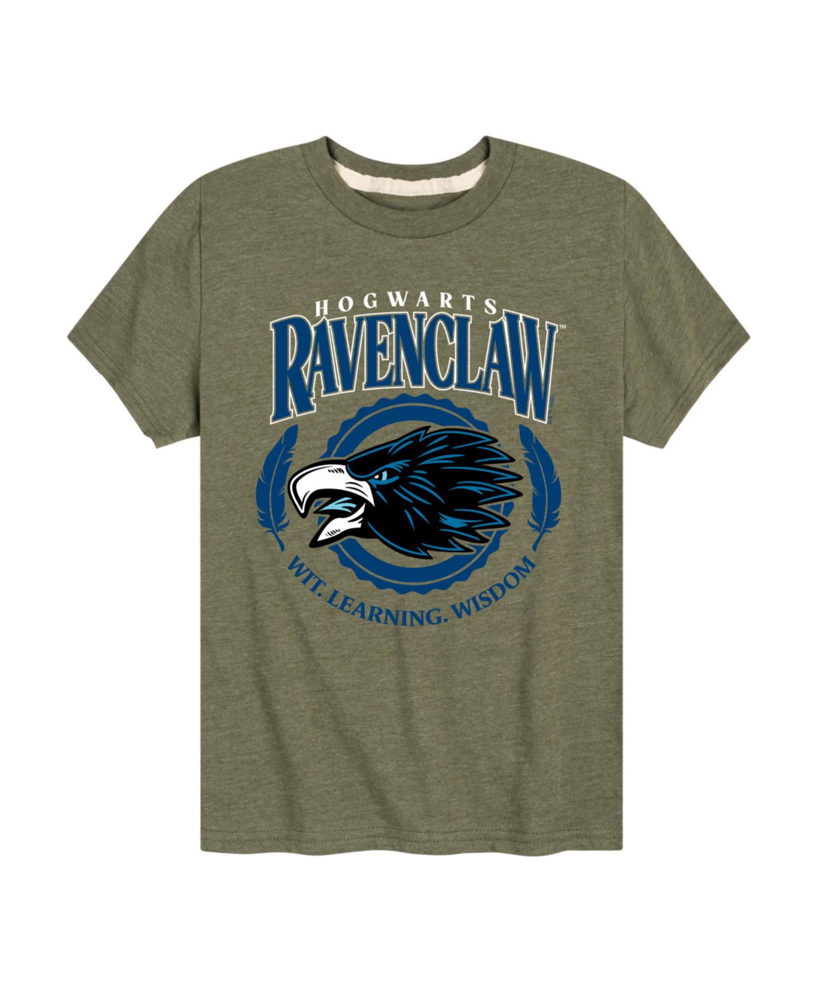 Harry Potter футболка с графикой Ravenclaw для мальчиков