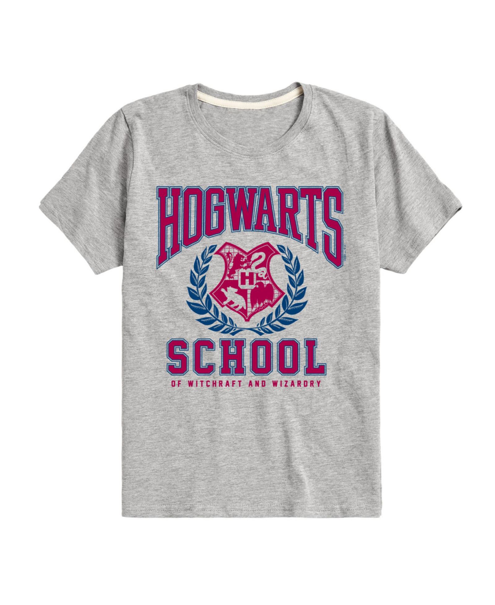Детская футболка Harry Potter Hogwarts School Graphic Tee