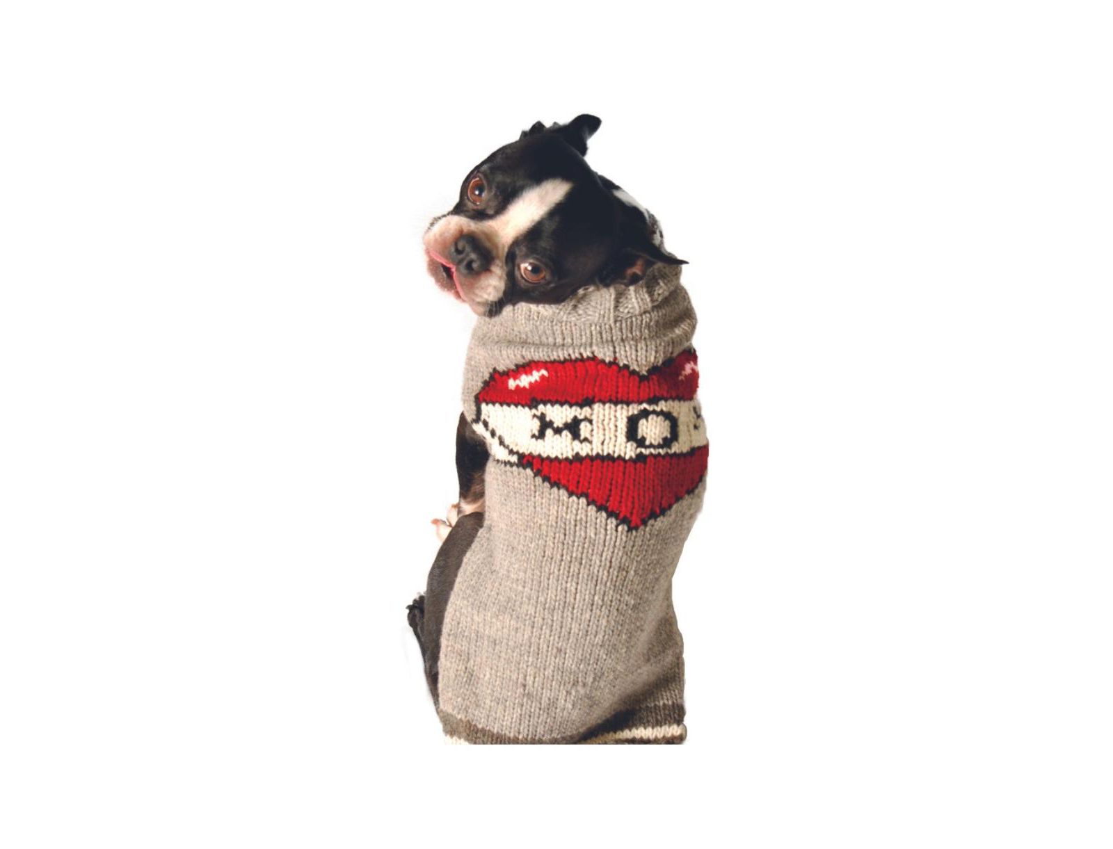 Собака Chilly Dog L TATTOOED MOM