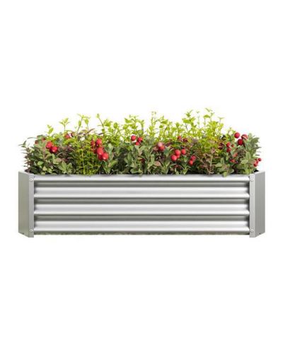 Rectangular Metal Raised Garden Bed for Growing Vegetables, Herbs, and Flowers