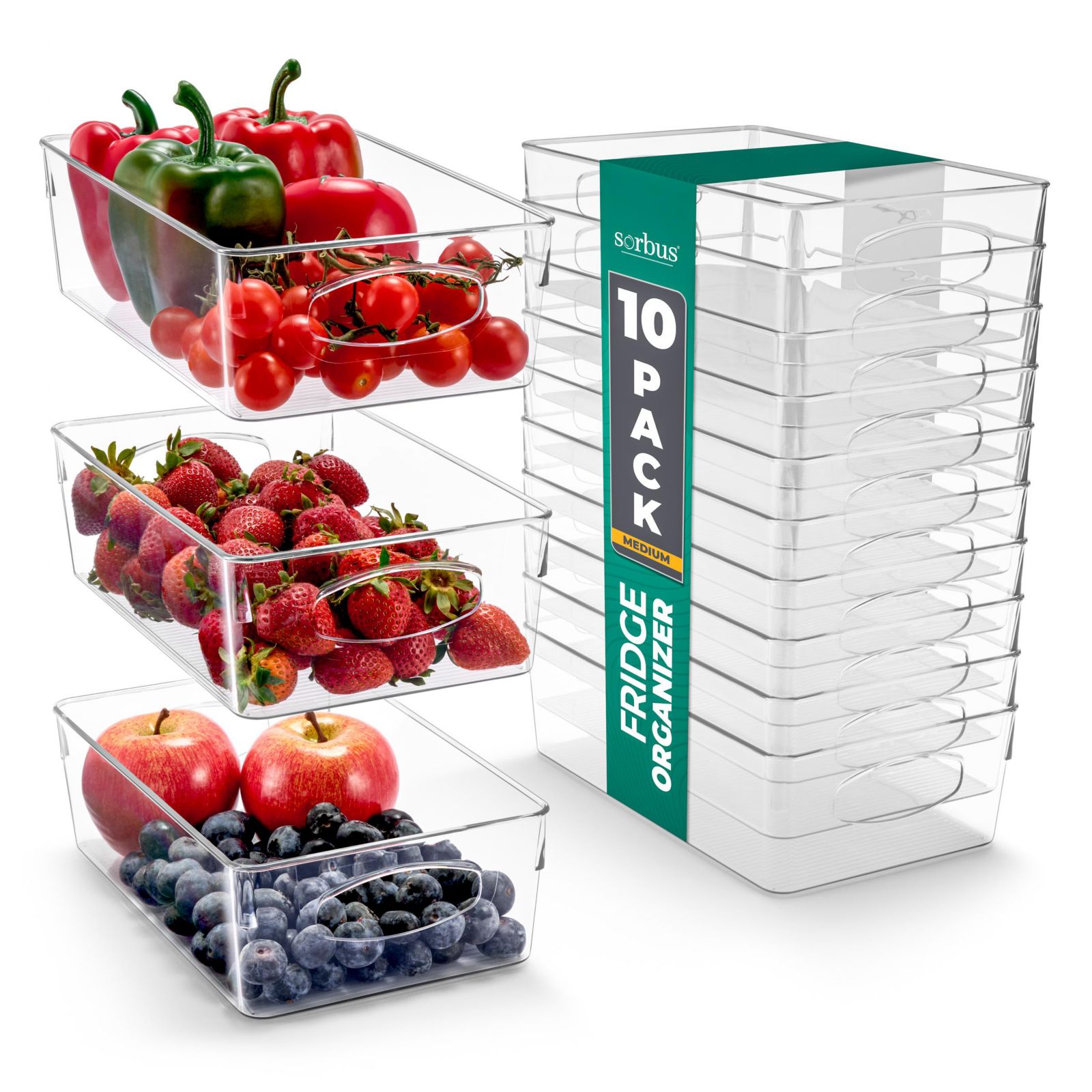 Sorbus 10 Pack Medium Clear Plastic Storage Bins with Handle