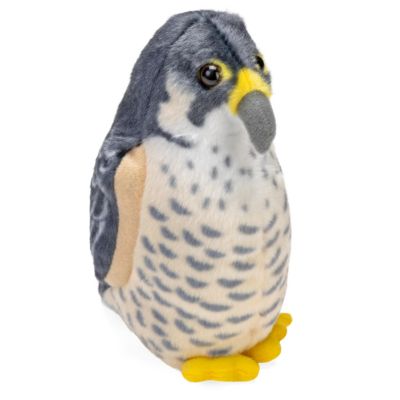 Wild Republic Audubon Birds Peregrine Falcon Plush Authentic Bird Sound, Stuffed Animal, Bird Toys Kids Birders, 5 Inches