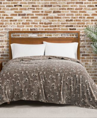 Lucky Brand Daisy Floral Cozy Plush Blanket, Full/Queen