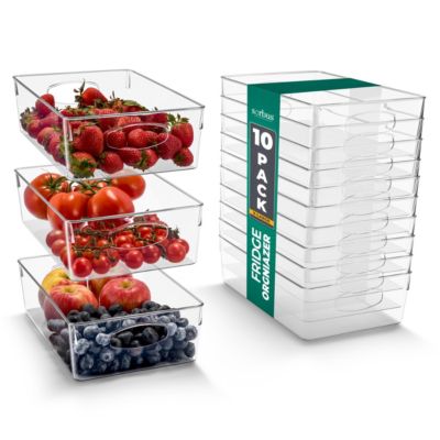 Sorbus 10 Pack Extra Large Clear Plastic Storage Bins with Handle