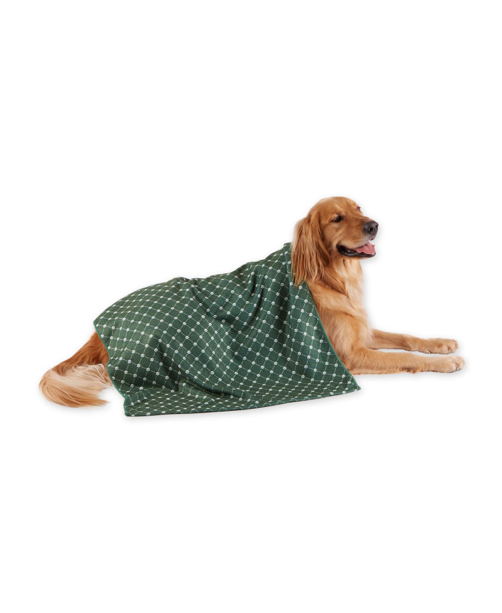 Bone Dry Microfiber Trellis Printed Large Single Pet Towel
