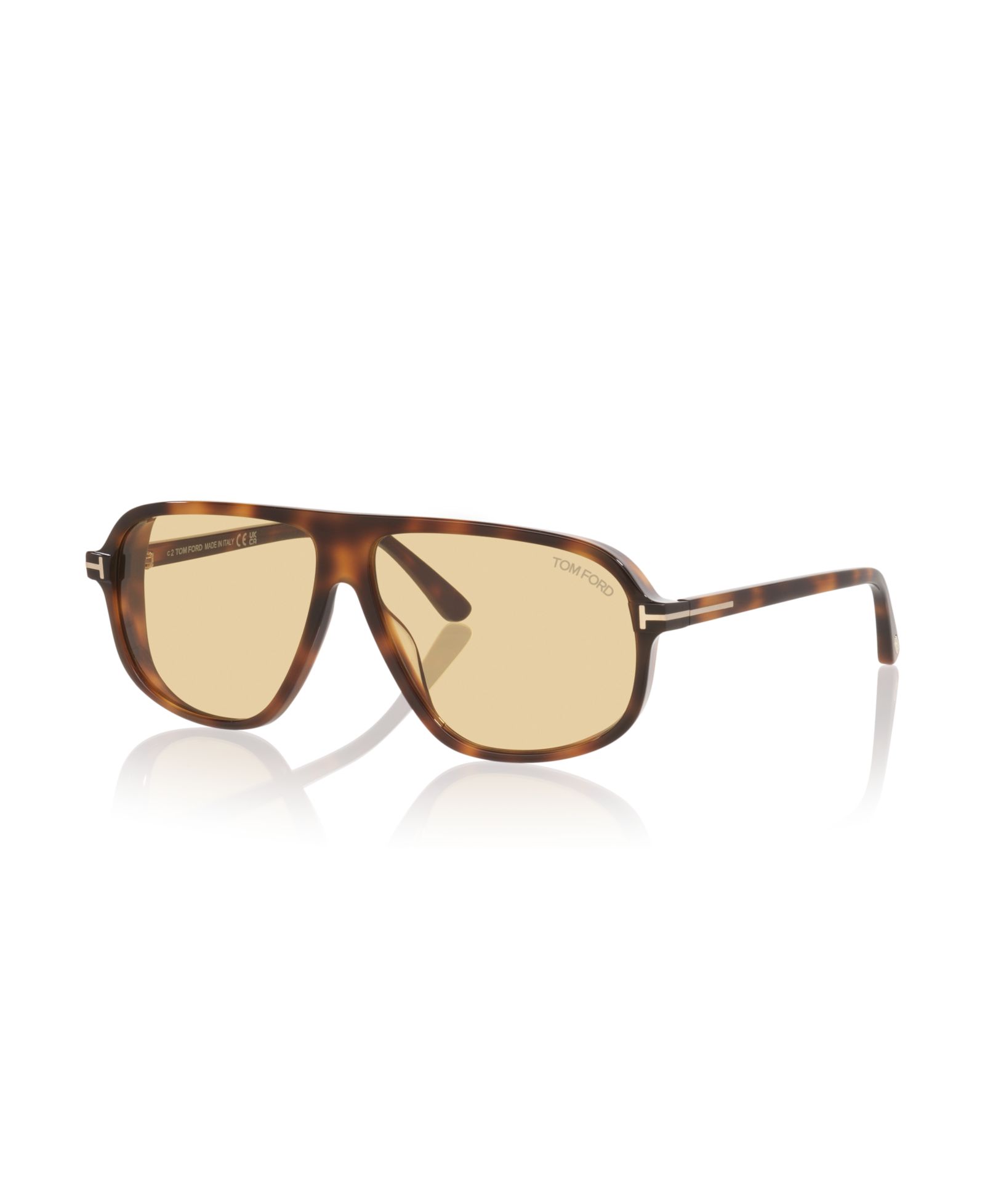 Tom Ford Men's Sunglasses, Guillaume_Tr TR001983