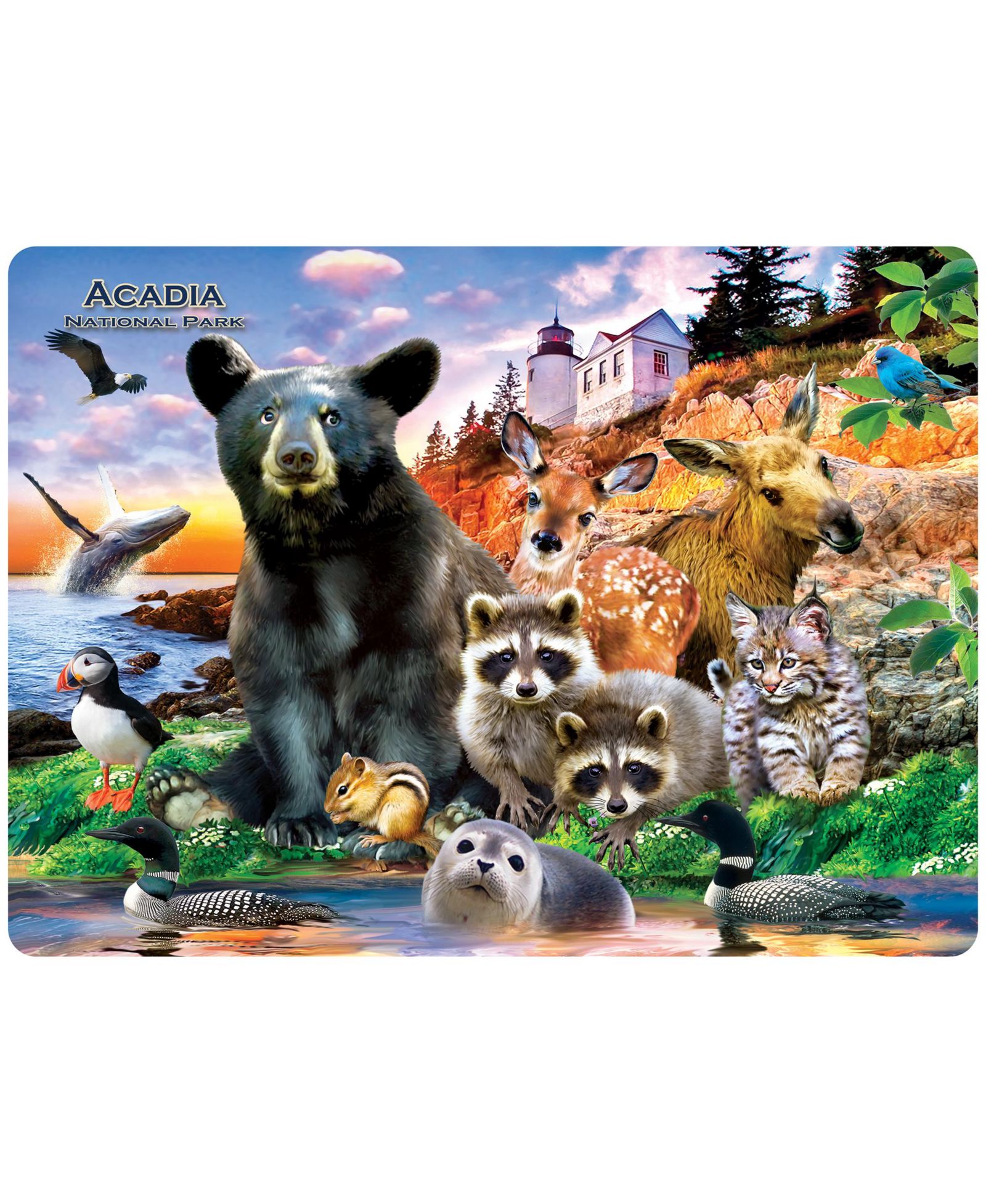 Пазл Masterpieces Acadia National Park 48 Piece Tray Puzzle
