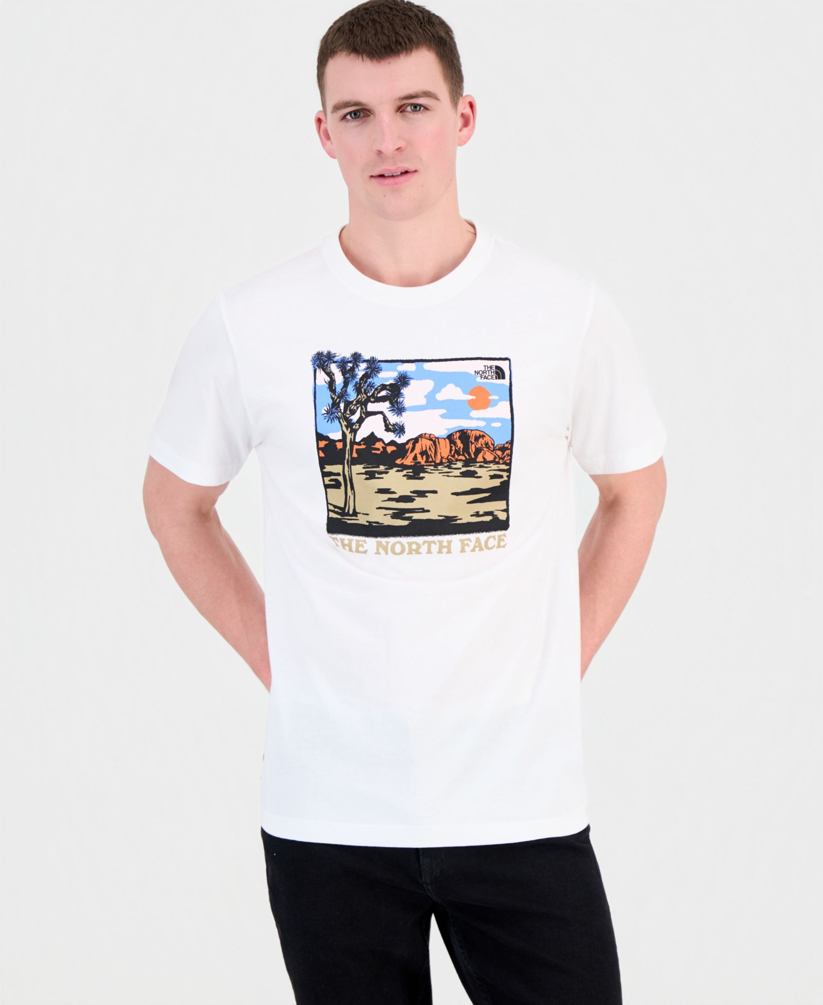 Мужская футболка The North Face Men's Evolution Desert Graphic Short-Sleeve T-Shirt