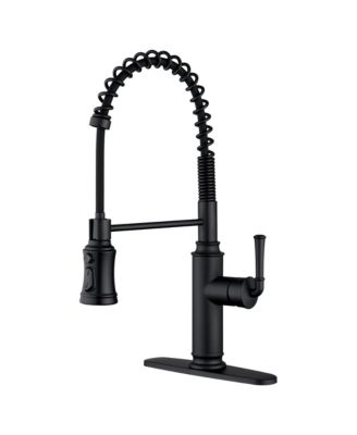 Boyel Living Kitchen Faucet with Pull Down Sprayer, with 360°Rotation Spout and 3-Function Nozzle for Use in Various Kitchen Styles