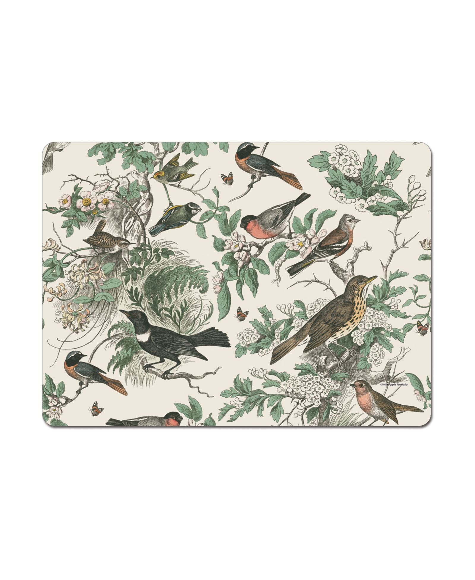 CounterArt Honeybloom Birds Hardboard Cork Placemats, Set of 4