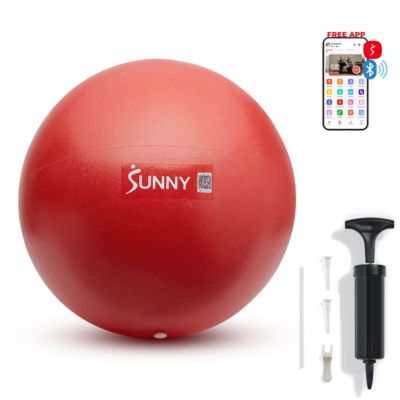 Мини-фитнес-мяч Sunny Health & Fitness Premium 9" из сверхпрочного ПВК