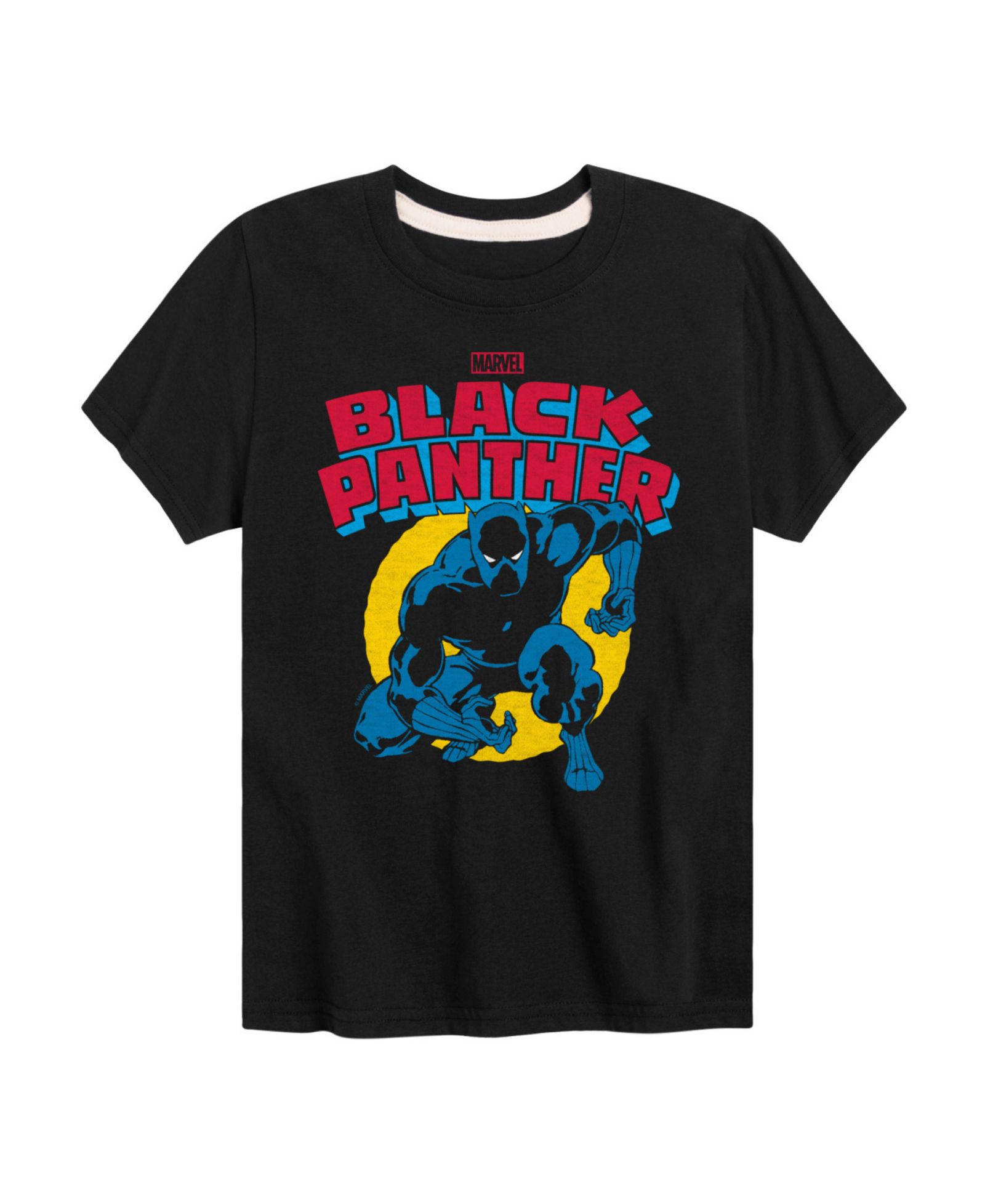 Black Panther Big Boys Black Panther Graphic T-Shirt