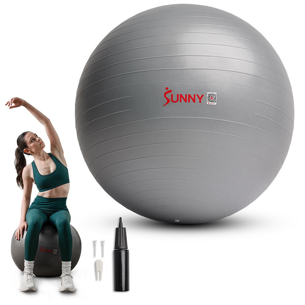 Sunny Health & Fitness фитнес-мяч для йоги Premium Small 55CM с насосом