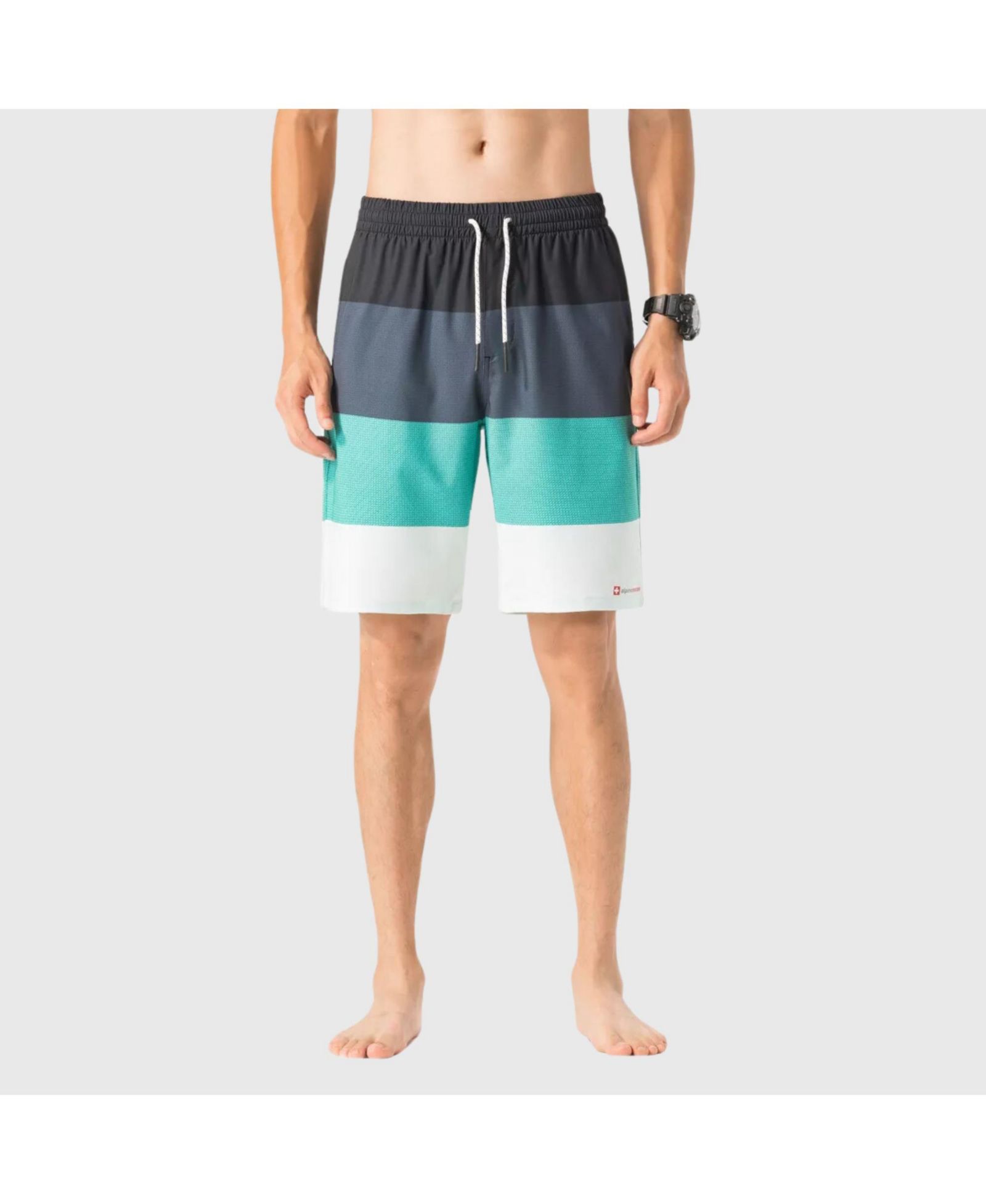 Alpine Swiss Men's Swim Shorts Beach Trunks Boardshorts Volley Shorts Quick Dry