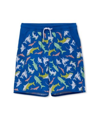 Sharks/neon blue