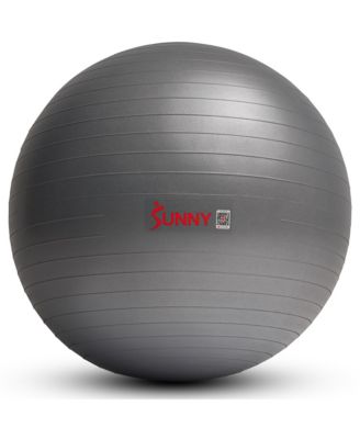 Sunny Health & Fitness Premium Yoga Ball Medium 65CM Anti-Burst Exercise Ball with Pump for Workouts, Physical Therapy