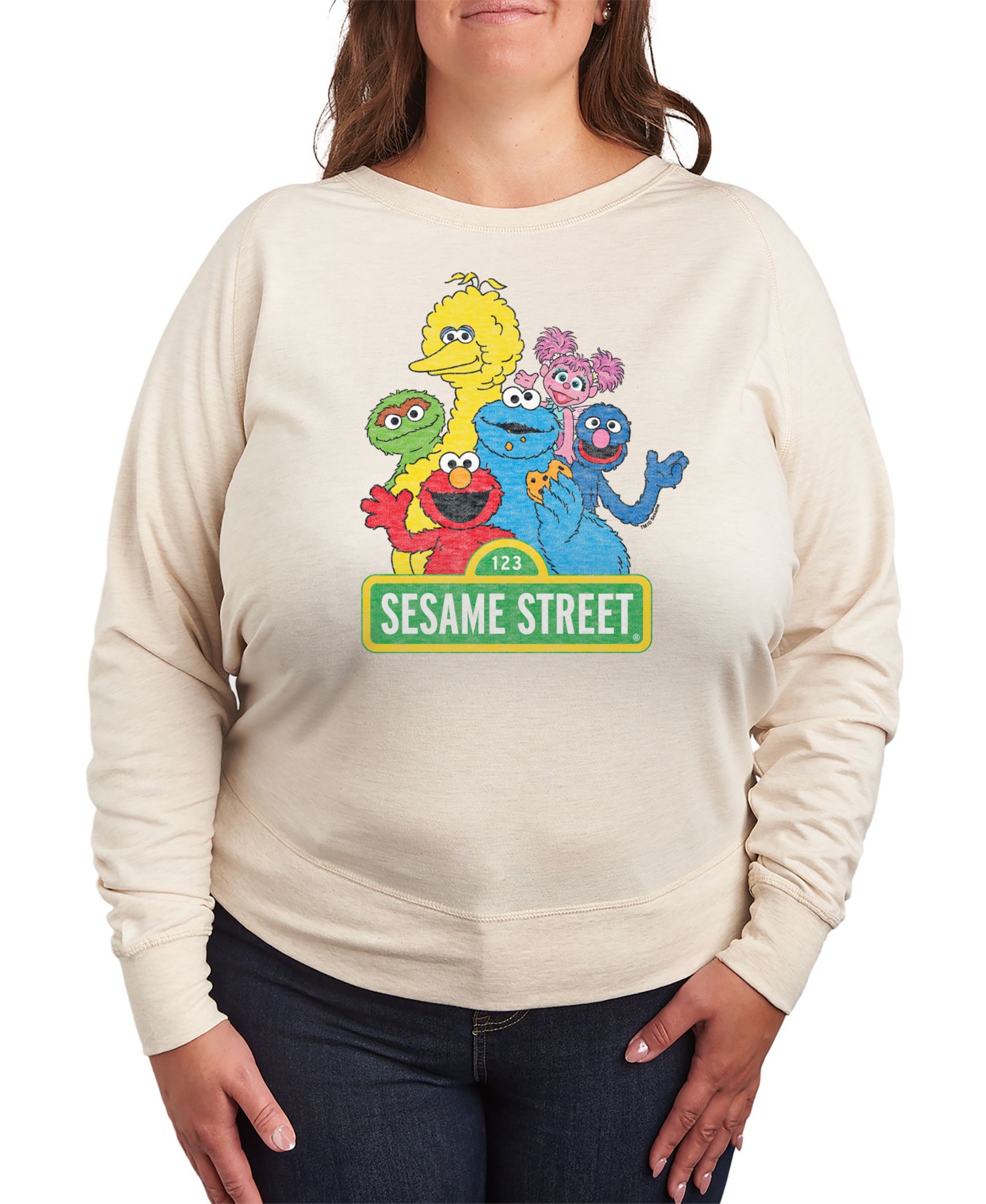 Женская футболка Hybrid Apparel Plus Size Sesame Street Group Graphic Pullover