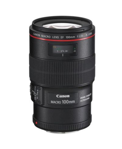Объектив Canon EF 100mm f/2.8L Macro IS USM