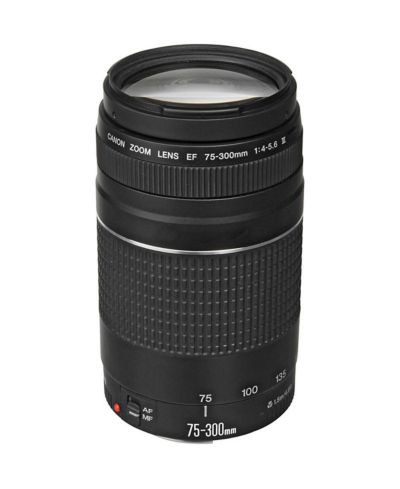 Объектив Canon EF 75-300mm f/4-5.6 III Lens