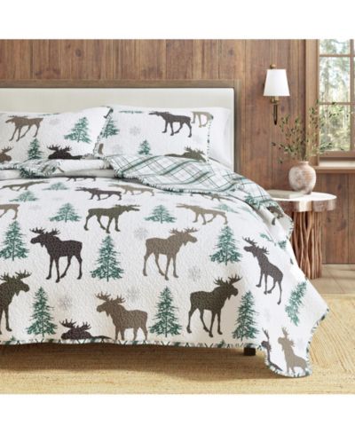 Moose - chocolate
