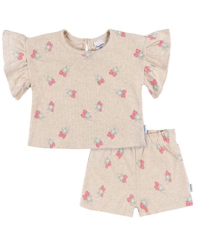 Gerber Toddler Girls 2-Piece Shirt and Shorts Set, Pink Flower, 2T